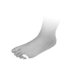 Separator Duo MINI MS470