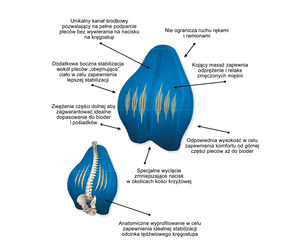 Poduszka ortopedyczna 53x44x9 EXCLUSIVE SUPPORT MFP-5344
